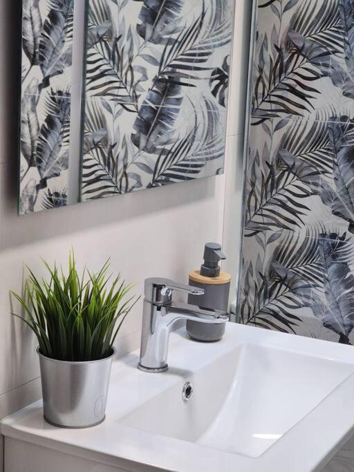 Piso De Diseno Elche Leilighet Eksteriør bilde
