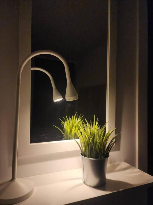 Piso De Diseno Elche Leilighet Eksteriør bilde