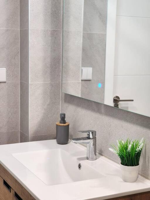 Piso De Diseno Elche Leilighet Eksteriør bilde